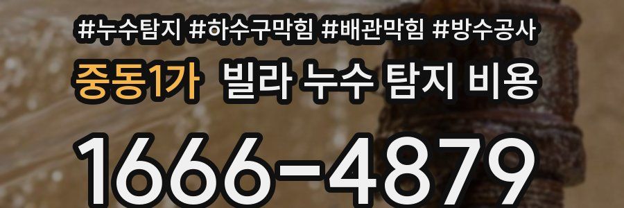 중동1가 빌라 누수 탐지 비용