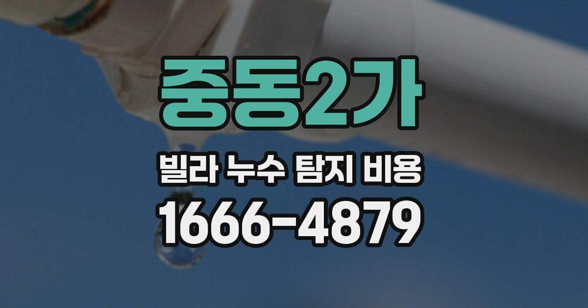 중동2가 빌라 누수 탐지 비용