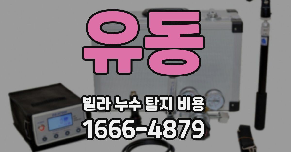 유동 빌라 누수 탐지 비용