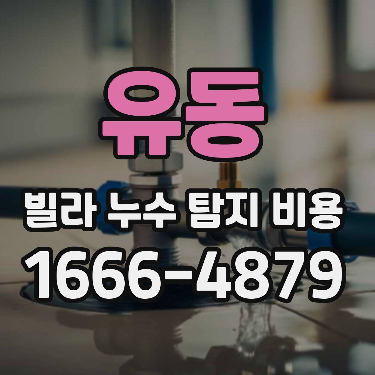 유동 빌라 누수 탐지 비용