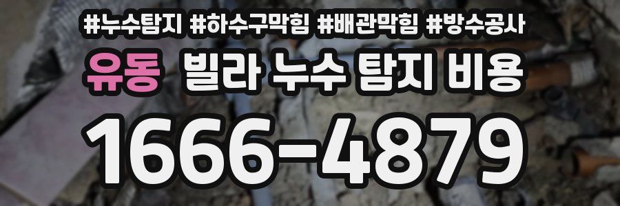 유동 빌라 누수 탐지 비용