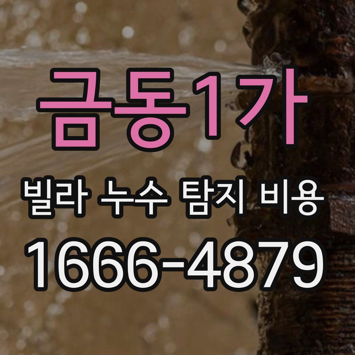 금동1가 빌라 누수 탐지 비용