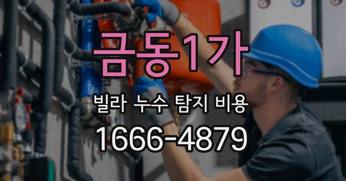 금동1가 빌라 누수 탐지 비용