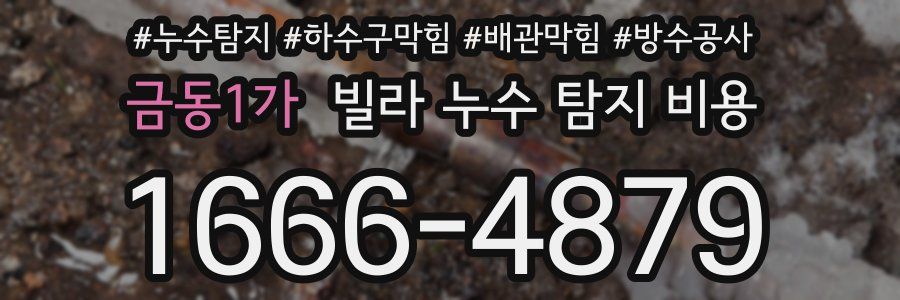 금동1가 빌라 누수 탐지 비용