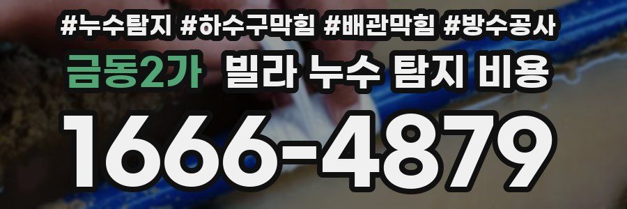 금동2가 빌라 누수 탐지 비용