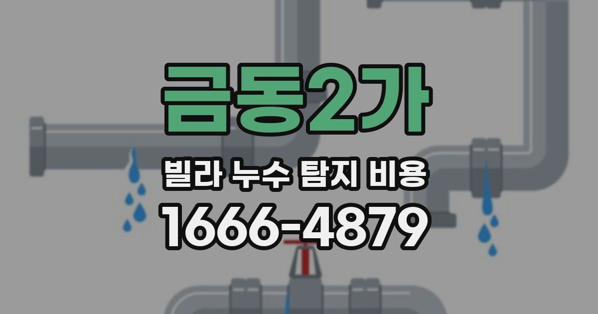 금동2가 빌라 누수 탐지 비용