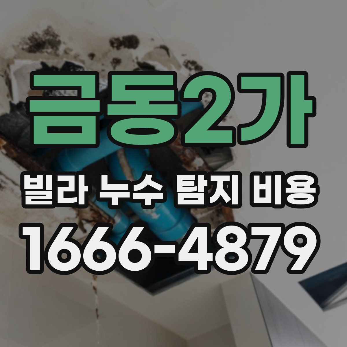 금동2가 빌라 누수 탐지 비용