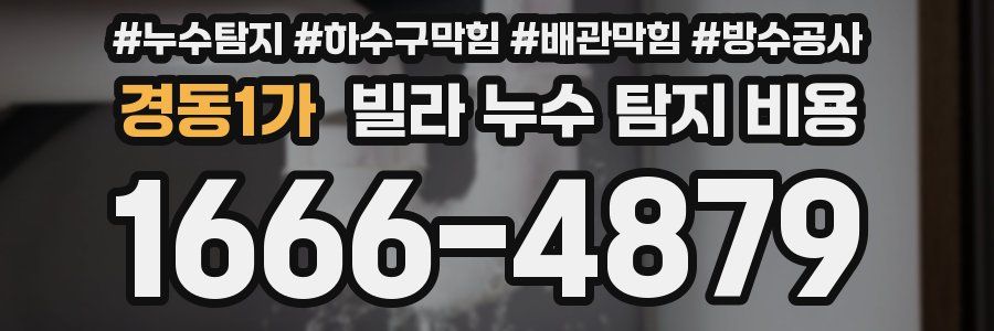 경동1가 빌라 누수 탐지 비용