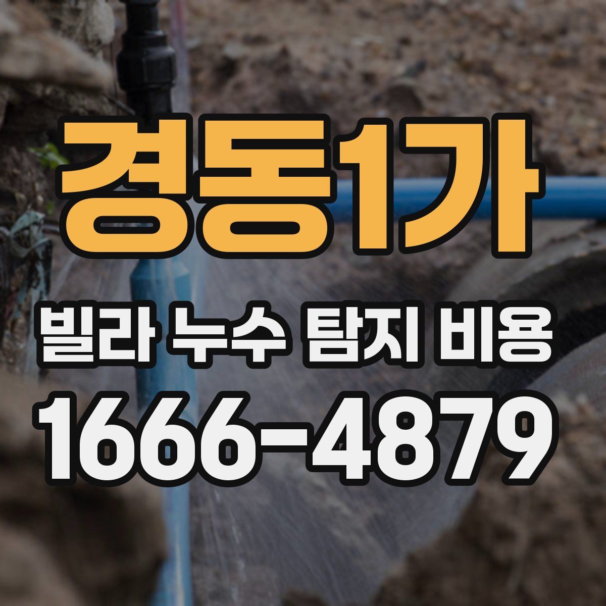 경동1가 빌라 누수 탐지 비용