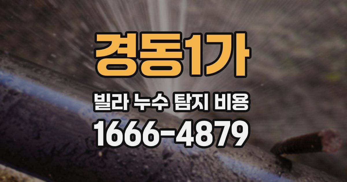 경동1가 빌라 누수 탐지 비용