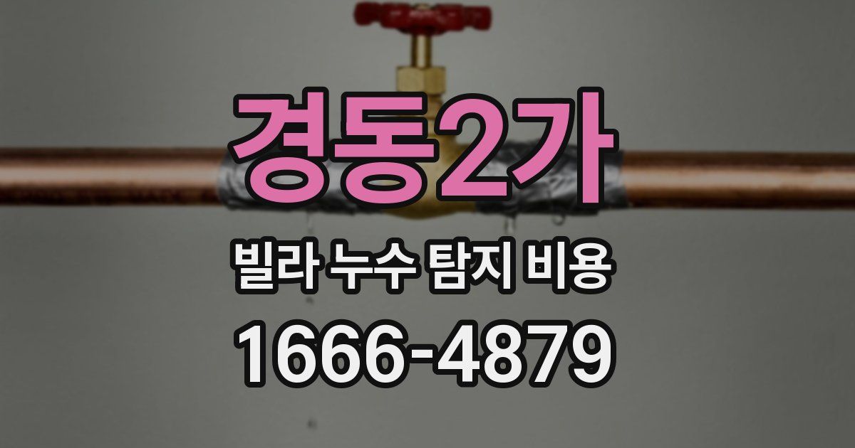 경동2가 빌라 누수 탐지 비용