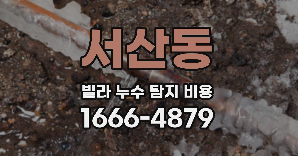 서산동 빌라 누수 탐지 비용