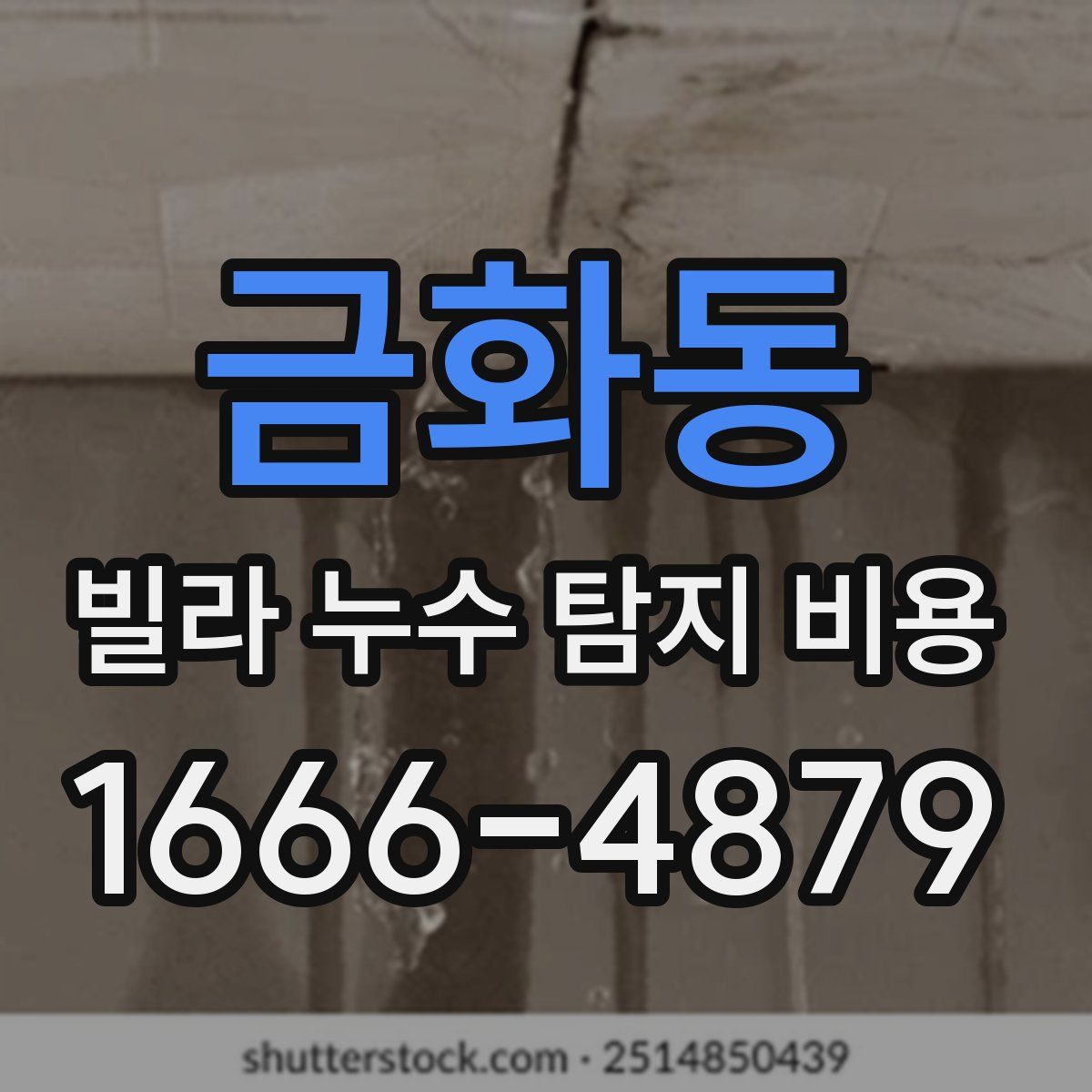 금화동 빌라 누수 탐지 비용