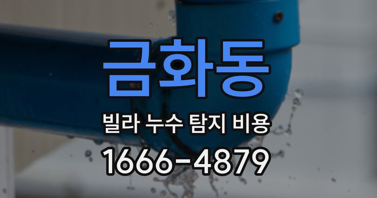 금화동 빌라 누수 탐지 비용