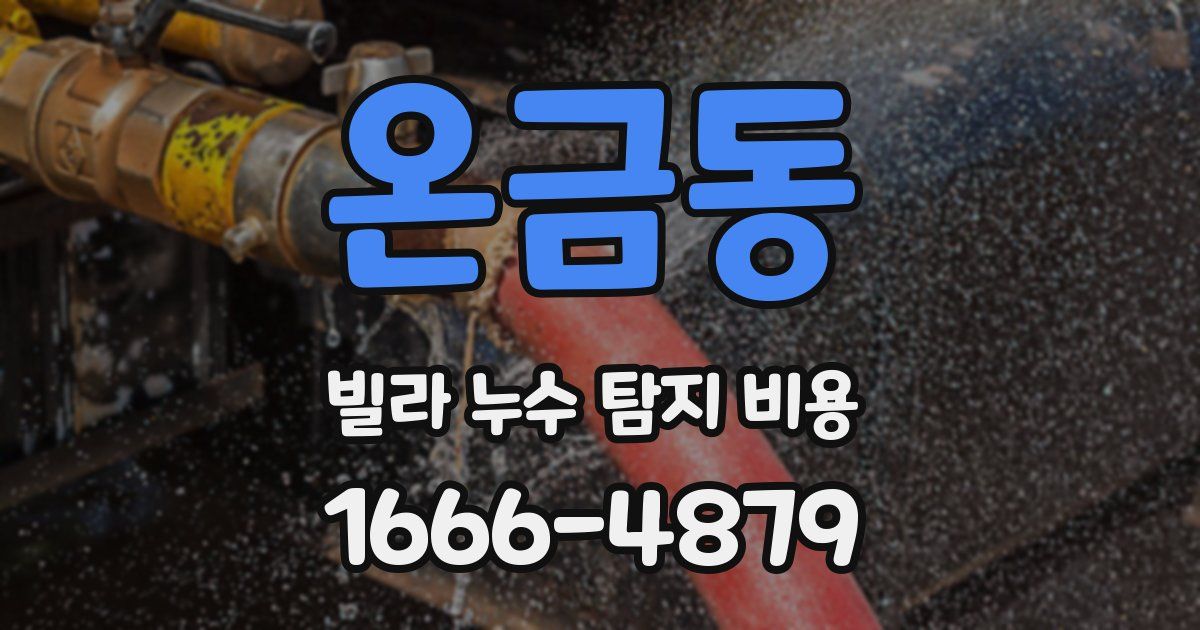 온금동 빌라 누수 탐지 비용