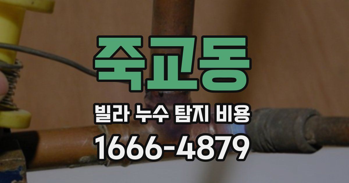 죽교동 빌라 누수 탐지 비용
