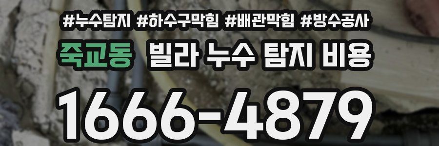죽교동 빌라 누수 탐지 비용