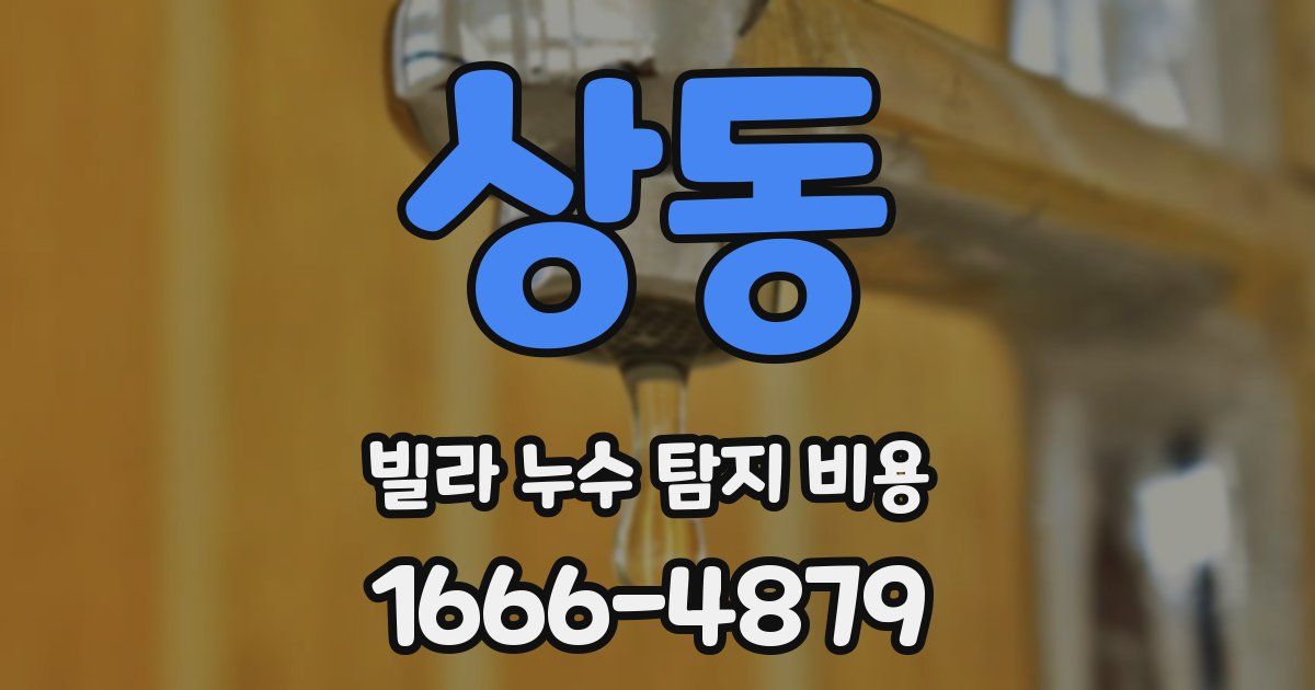 상동 빌라 누수 탐지 비용