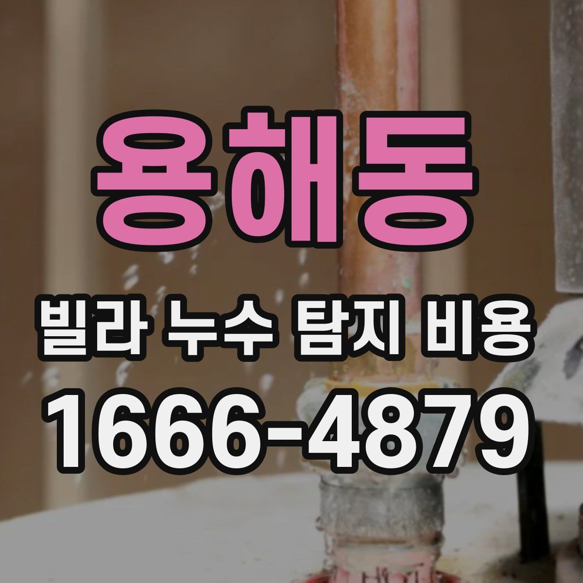용해동 빌라 누수 탐지 비용