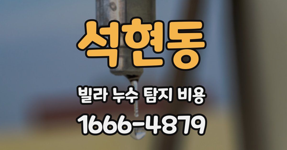 석현동 빌라 누수 탐지 비용