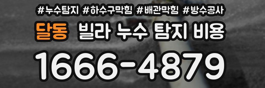 달동 빌라 누수 탐지 비용