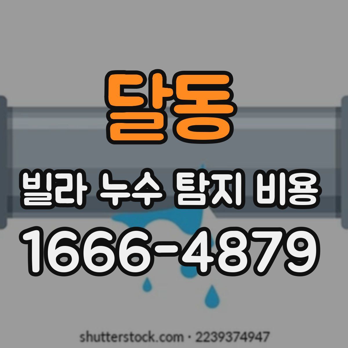 달동 빌라 누수 탐지 비용