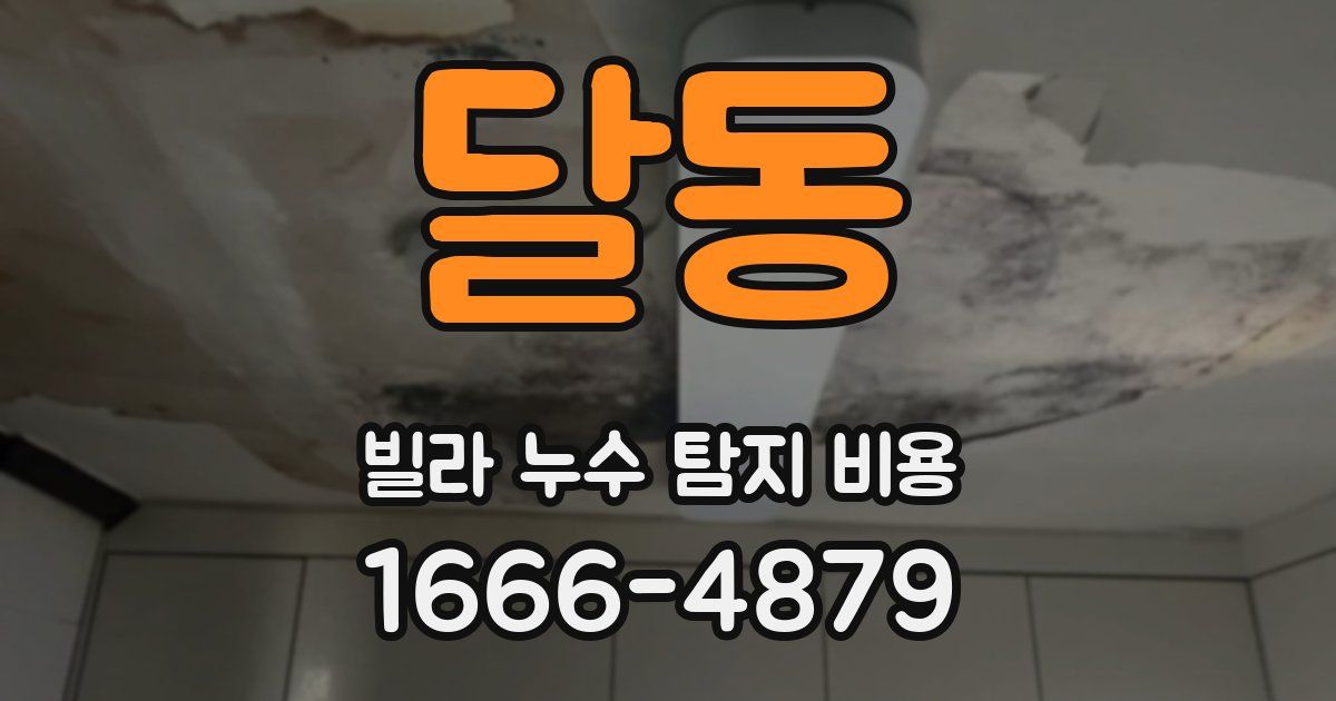 달동 빌라 누수 탐지 비용