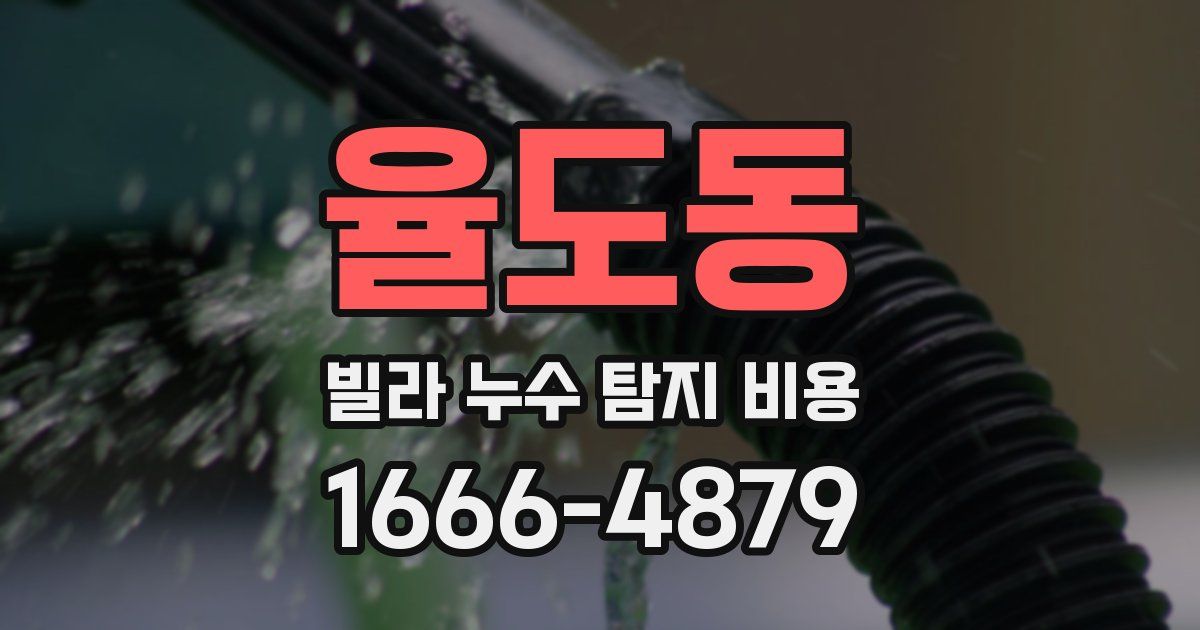 율도동 빌라 누수 탐지 비용