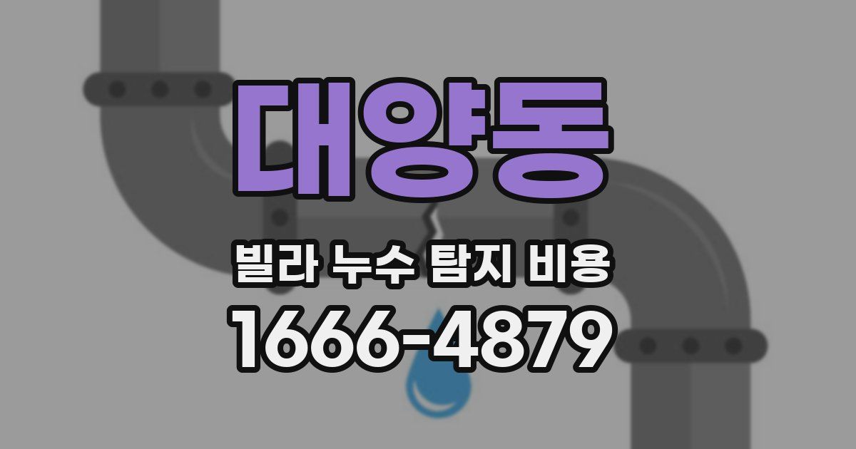 대양동 빌라 누수 탐지 비용