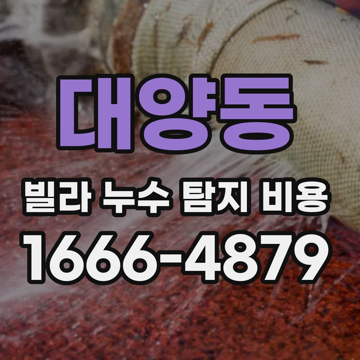 대양동 빌라 누수 탐지 비용