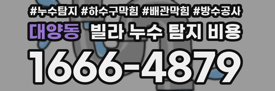 대양동 빌라 누수 탐지 비용