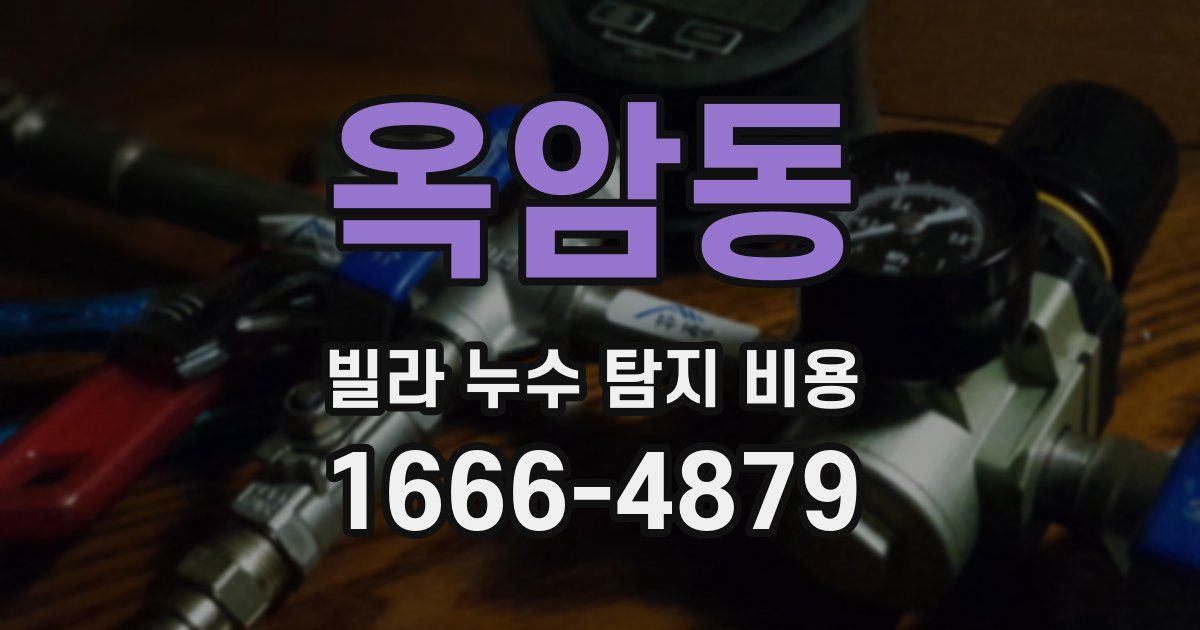 옥암동 빌라 누수 탐지 비용