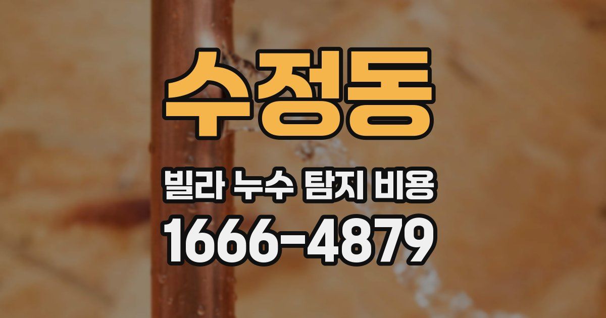 수정동 빌라 누수 탐지 비용