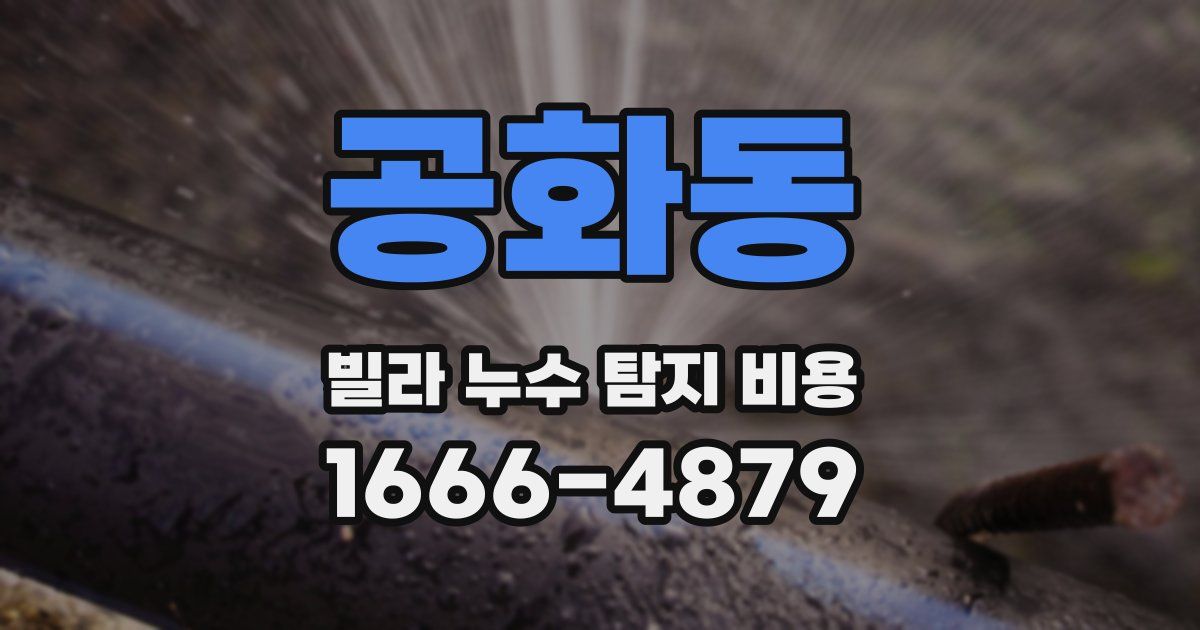 공화동 빌라 누수 탐지 비용