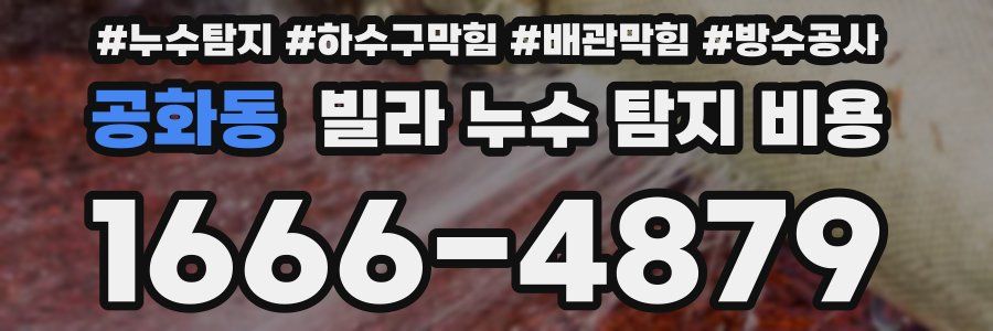 공화동 빌라 누수 탐지 비용