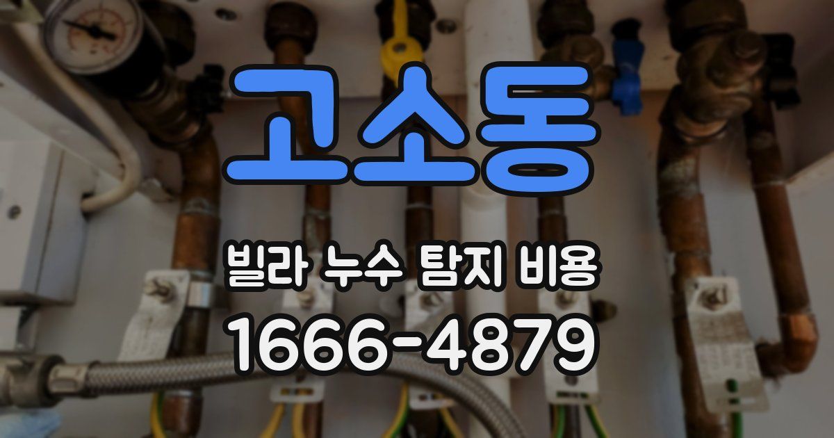 고소동 빌라 누수 탐지 비용