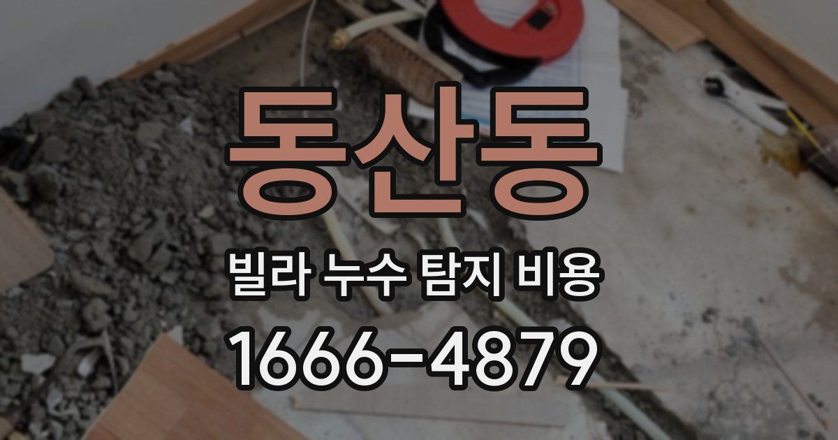 동산동 빌라 누수 탐지 비용