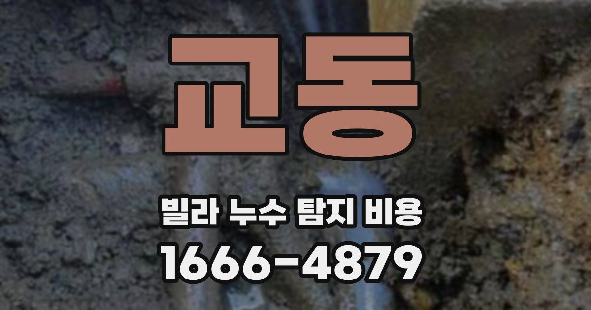 교동 빌라 누수 탐지 비용