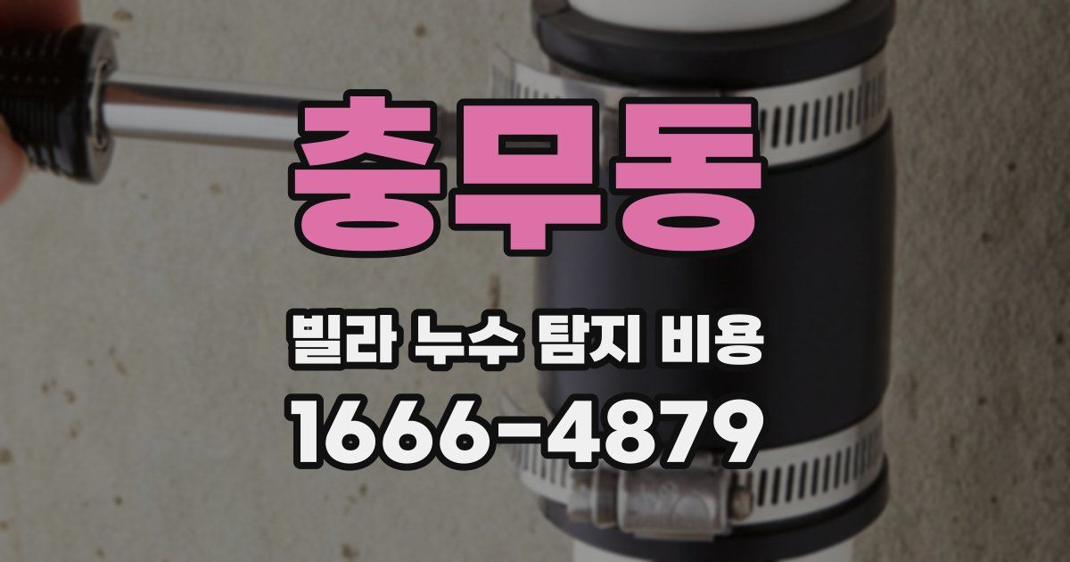 충무동 빌라 누수 탐지 비용