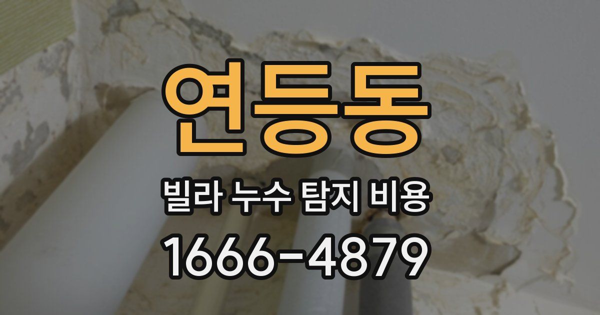 연등동 빌라 누수 탐지 비용