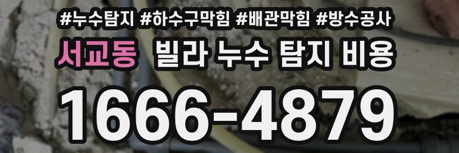 서교동 빌라 누수 탐지 비용