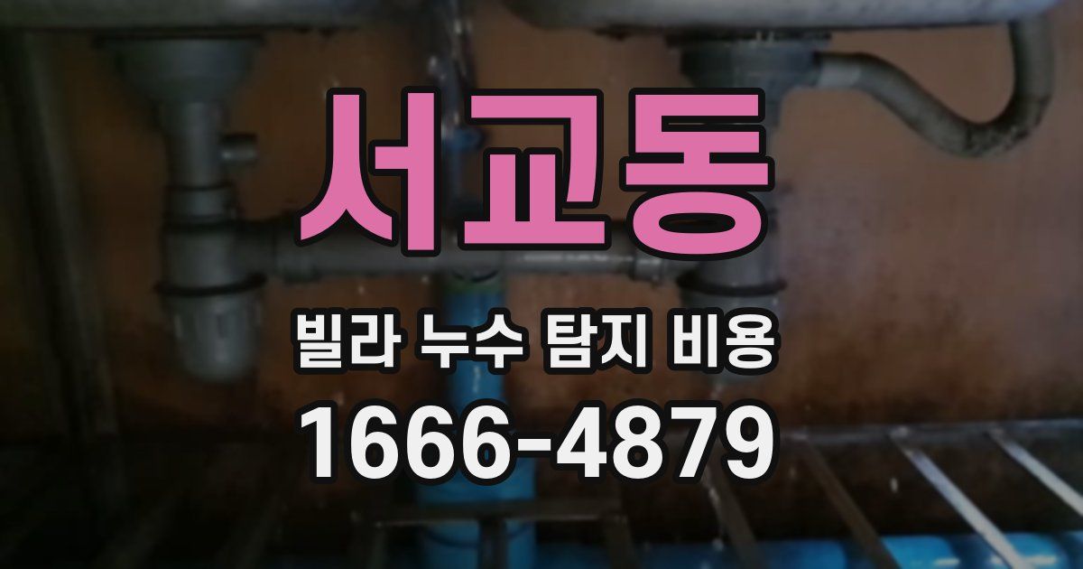 서교동 빌라 누수 탐지 비용