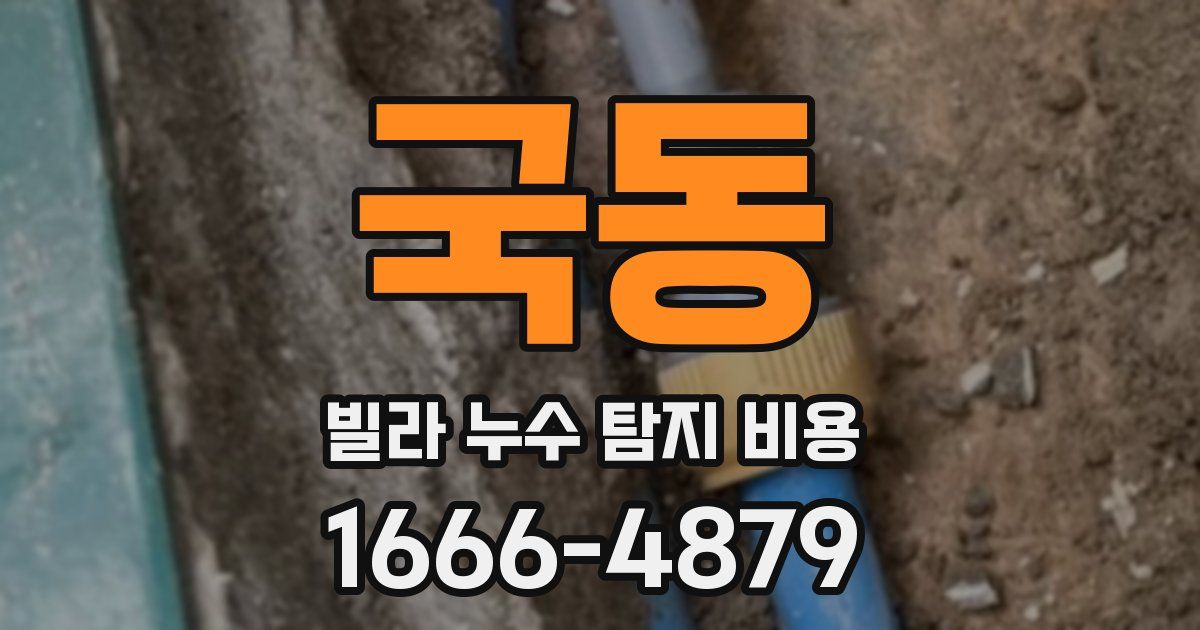 국동 빌라 누수 탐지 비용