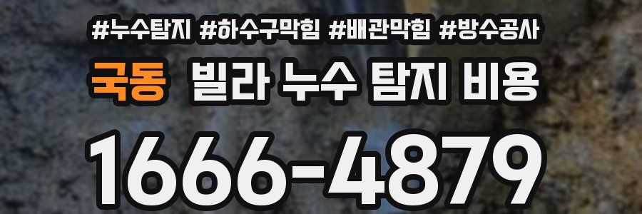 국동 빌라 누수 탐지 비용