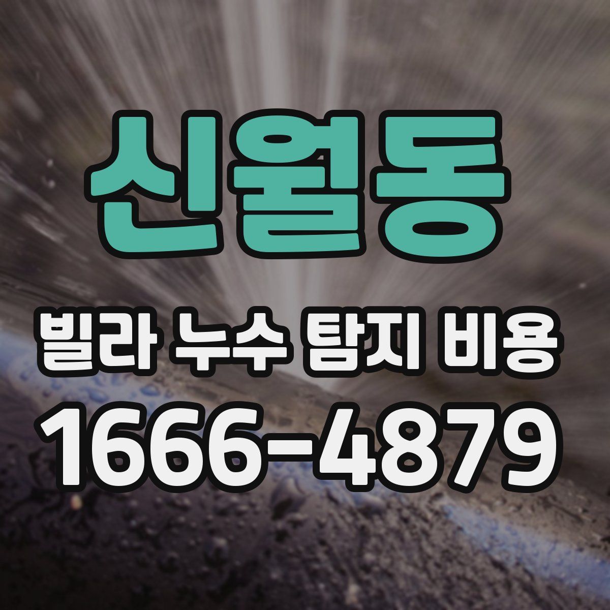 신월동 빌라 누수 탐지 비용