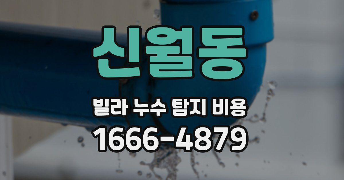 신월동 빌라 누수 탐지 비용