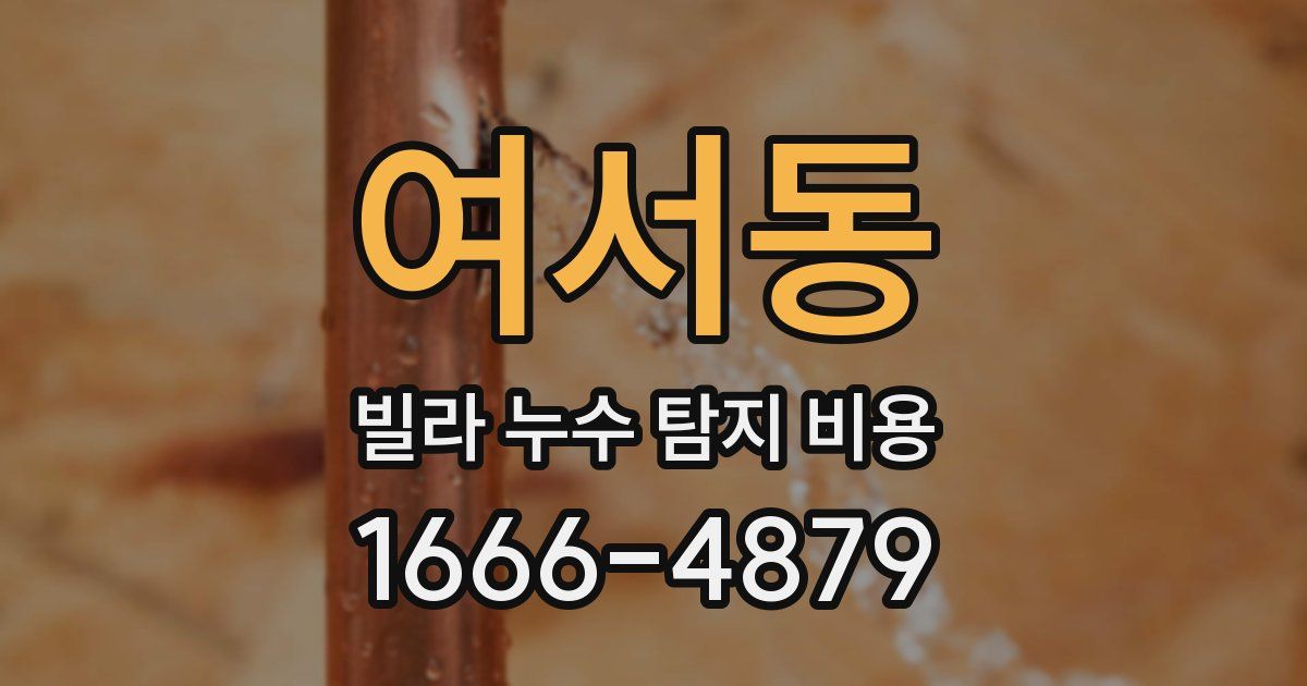 여서동 빌라 누수 탐지 비용