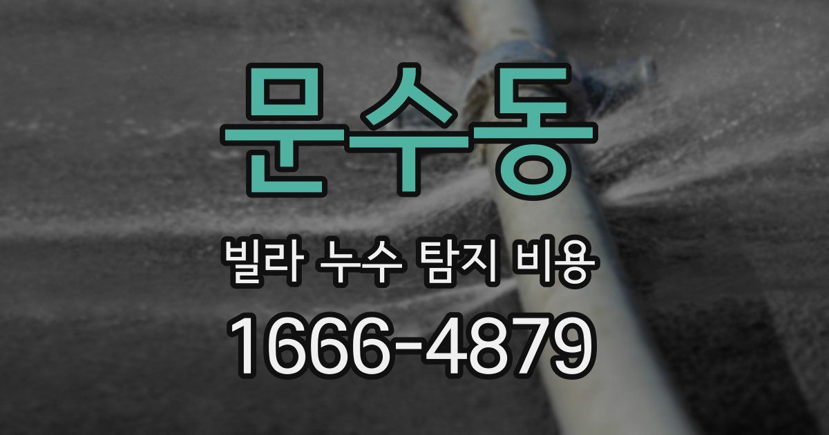 문수동 빌라 누수 탐지 비용