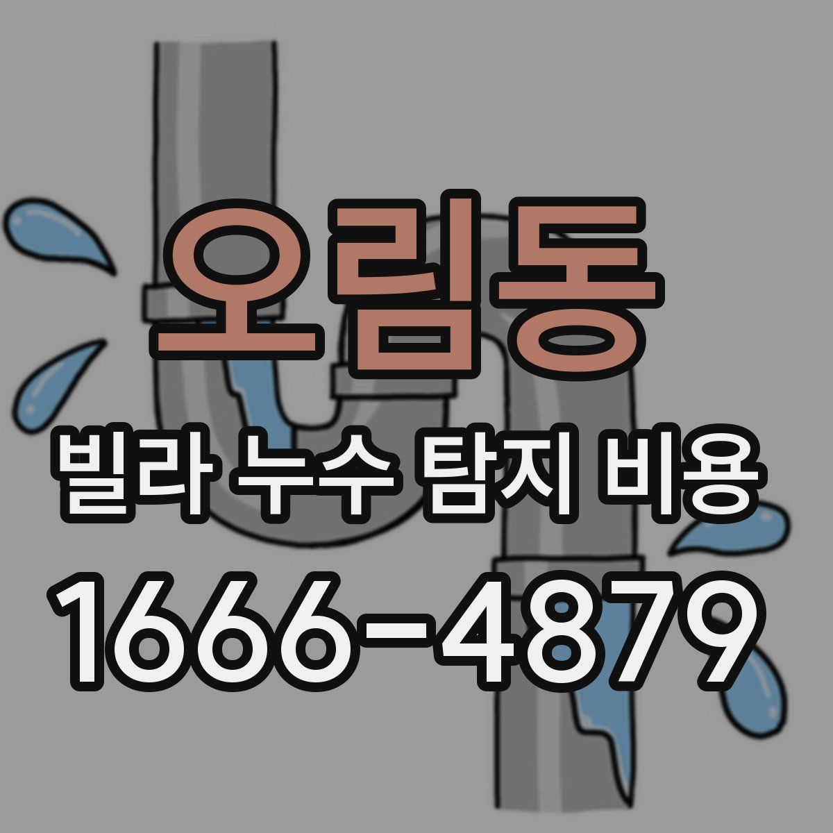 오림동 빌라 누수 탐지 비용