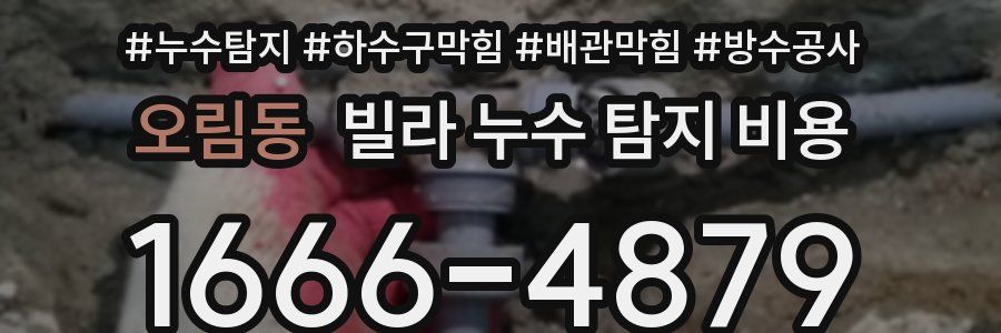 오림동 빌라 누수 탐지 비용